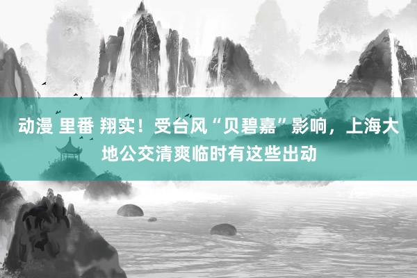 动漫 里番 翔实！受台风“贝碧嘉”影响，上海大地公交清爽临时有这些出动