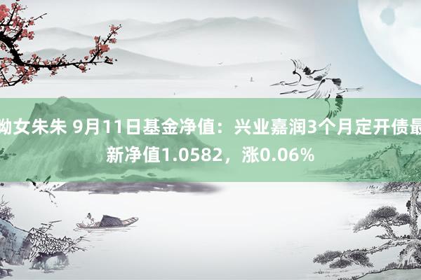 呦女朱朱 9月11日基金净值：兴业嘉润3个月定开债最新净值1.0582，涨0.06%