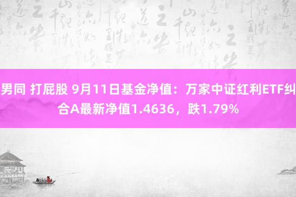 男同 打屁股 9月11日基金净值：万家中证红利ETF纠合A最新净值1.4636，跌1.79%