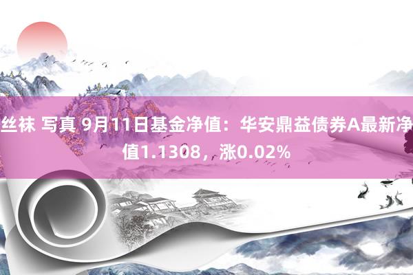 丝袜 写真 9月11日基金净值：华安鼎益债券A最新净值1.1308，涨0.02%