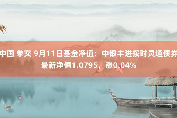 中国 拳交 9月11日基金净值：中银丰进按时灵通债券最新净值1.0795，涨0.04%