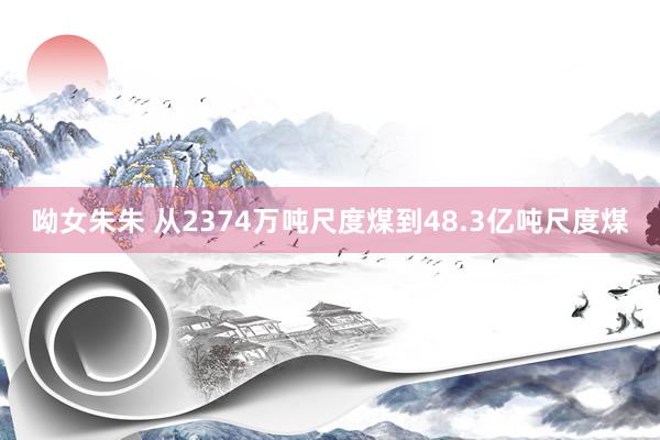 呦女朱朱 从2374万吨尺度煤到48.3亿吨尺度煤