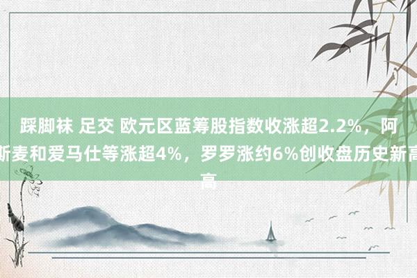 踩脚袜 足交 欧元区蓝筹股指数收涨超2.2%，阿斯麦和爱马仕等涨超4%，罗罗涨约6%创收盘历史新高