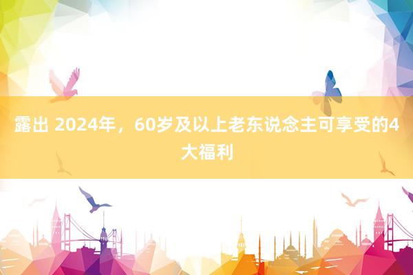 露出 2024年，60岁及以上老东说念主可享受的4大福利