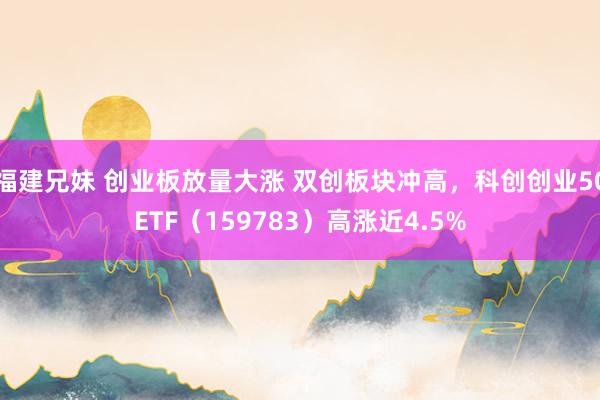 福建兄妹 创业板放量大涨 双创板块冲高，科创创业50ETF（159783）高涨近4.5%