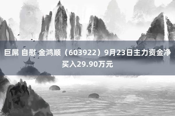 巨屌 自慰 金鸿顺（603922）9月23日主力资金净买入29.90万元