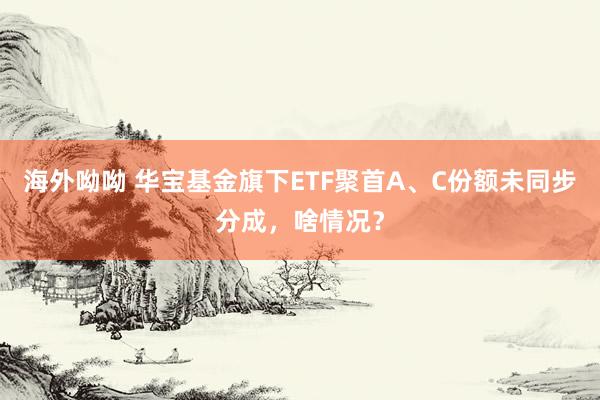 海外呦呦 华宝基金旗下ETF聚首A、C份额未同步分成，啥情况？