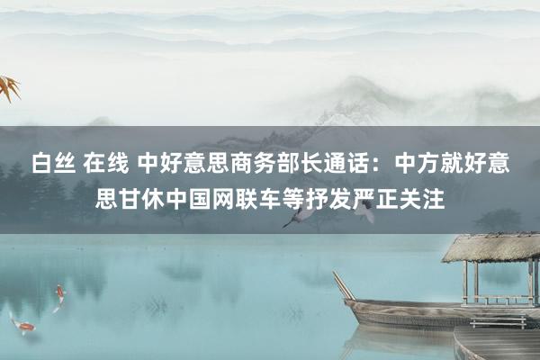 白丝 在线 中好意思商务部长通话：中方就好意思甘休中国网联车等抒发严正关注