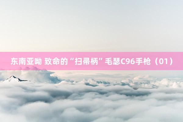 东南亚呦 致命的“扫帚柄”毛瑟C96手枪（01）