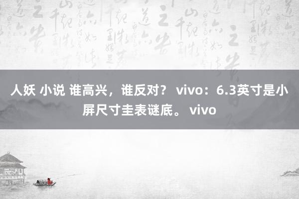 人妖 小说 谁高兴，谁反对？ vivo：6.3英寸是小屏尺寸圭表谜底。 vivo