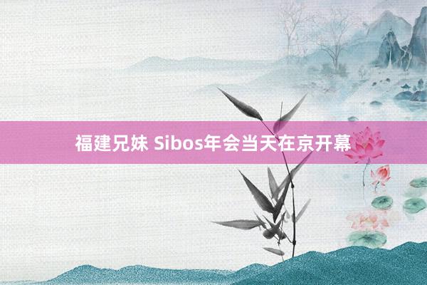 福建兄妹 Sibos年会当天在京开幕