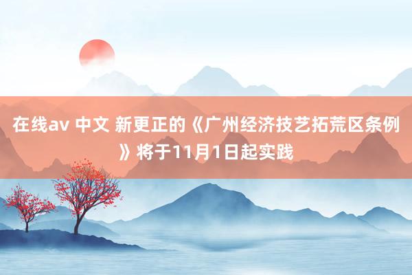 在线av 中文 新更正的《广州经济技艺拓荒区条例》将于11月1日起实践