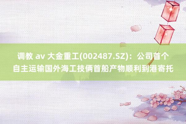 调教 av 大金重工(002487.SZ)：公司首个自主运输国外海工技俩首船产物顺利到港寄托