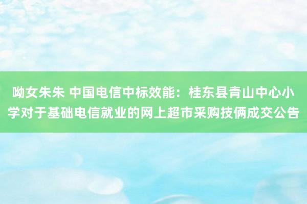 呦女朱朱 中国电信中标效能：桂东县青山中心小学对于基础电信就业的网上超市采购技俩成交公告