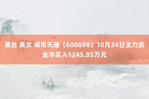 黑丝 美女 湖南天雁（600698）10月24日主力资金净买入1245.85万元