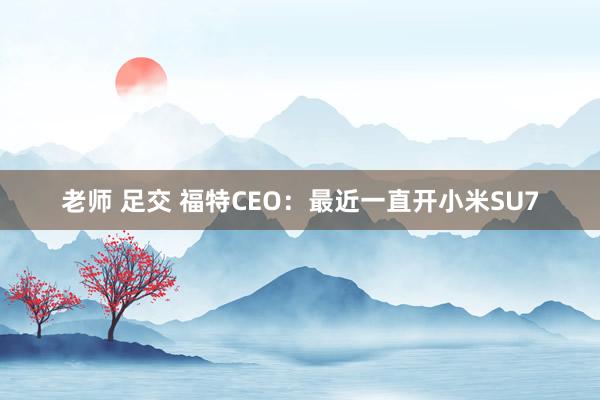 老师 足交 福特CEO：最近一直开小米SU7