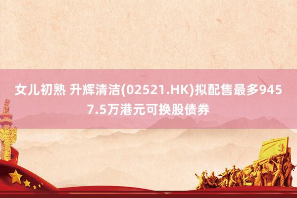 女儿初熟 升辉清洁(02521.HK)拟配售最多9457.5万港元可换股债券