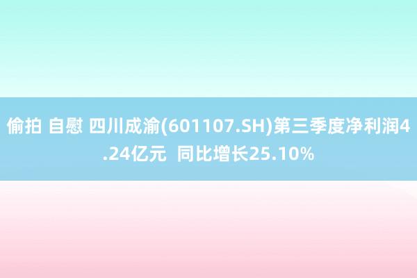 偷拍 自慰 四川成渝(601107.SH)第三季度净利润4.24亿元  同比增长25.10%