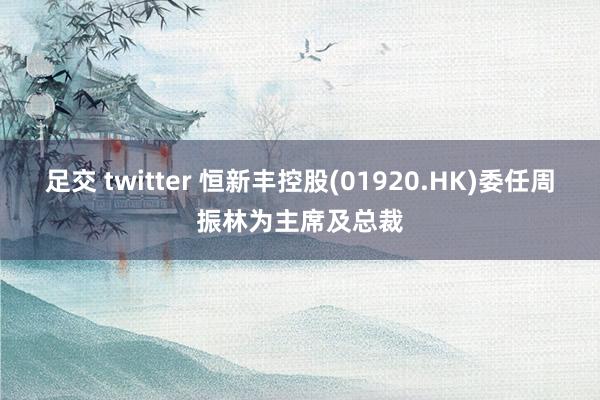 足交 twitter 恒新丰控股(01920.HK)委任周振林为主席及总裁