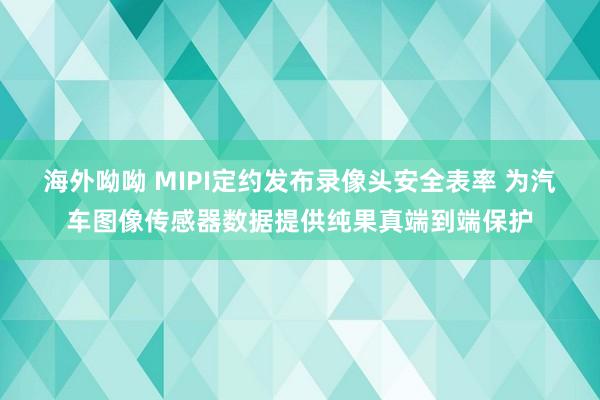 海外呦呦 MIPI定约发布录像头安全表率 为汽车图像传感器数据提供纯果真端到端保护