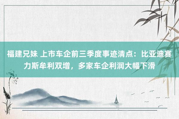 福建兄妹 上市车企前三季度事迹清点：比亚迪赛力斯牟利双增，多家车企利润大幅下滑