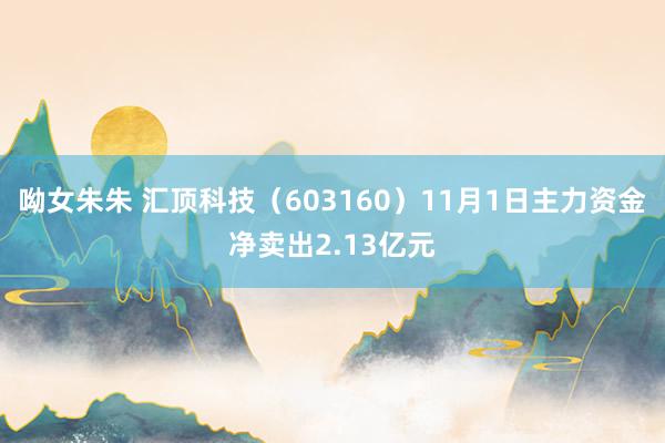 呦女朱朱 汇顶科技（603160）11月1日主力资金净卖出2.13亿元