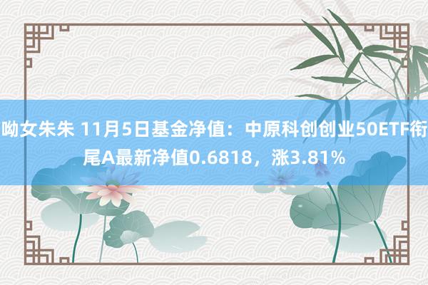 呦女朱朱 11月5日基金净值：中原科创创业50ETF衔尾A最新净值0.6818，涨3.81%