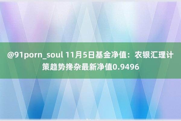 @91porn_soul 11月5日基金净值：农银汇理计策趋势搀杂最新净值0.9496