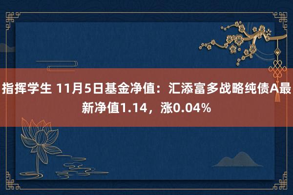 指挥学生 11月5日基金净值：汇添富多战略纯债A最新净值1.14，涨0.04%