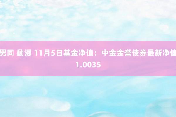 男同 動漫 11月5日基金净值：中金金誉债券最新净值1.0035