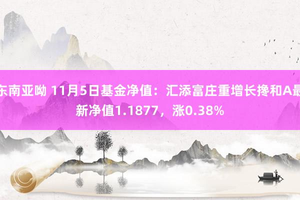 东南亚呦 11月5日基金净值：汇添富庄重增长搀和A最新净值1.1877，涨0.38%