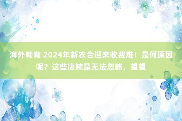 海外呦呦 2024年新农合迎来收费难！是何原因呢？这些凄婉是无法忽略，望望