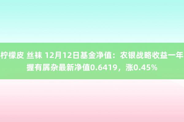 柠檬皮 丝袜 12月12日基金净值：农银战略收益一年握有羼杂最新净值0.6419，涨0.45%