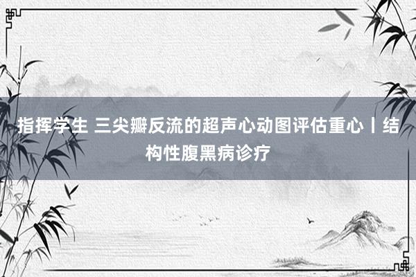 指挥学生 三尖瓣反流的超声心动图评估重心丨结构性腹黑病诊疗