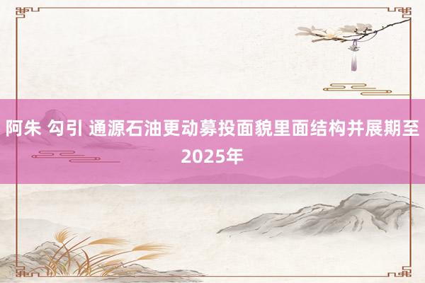 阿朱 勾引 通源石油更动募投面貌里面结构并展期至2025年