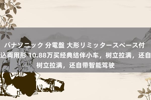 パナソニック 分電盤 大形リミッタースペース付 露出・半埋込両用形 10.88万买经典结伴小车，树立拉满，还自带智能驾驶