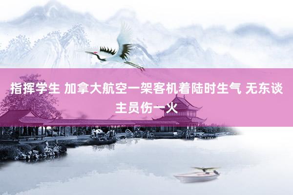 指挥学生 加拿大航空一架客机着陆时生气 无东谈主员伤一火