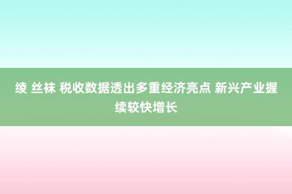 绫 丝袜 税收数据透出多重经济亮点 新兴产业握续较快增长