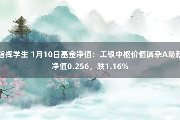 指挥学生 1月10日基金净值：工银中枢价值羼杂A最新净值0.256，跌1.16%