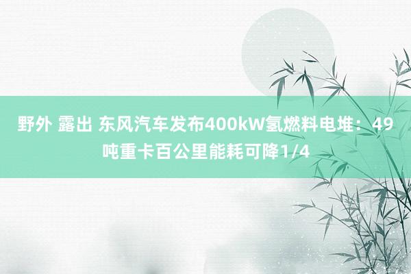 野外 露出 东风汽车发布400kW氢燃料电堆：49吨重卡百公里能耗可降1/4